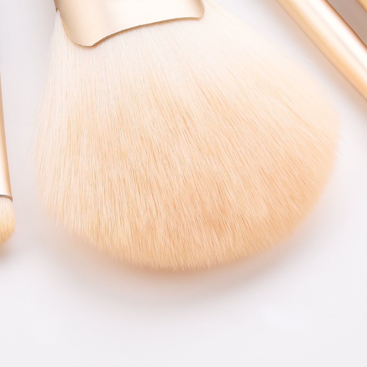 Makeup Brush Set | Professional Makeup Brush Set | Terni Beauty