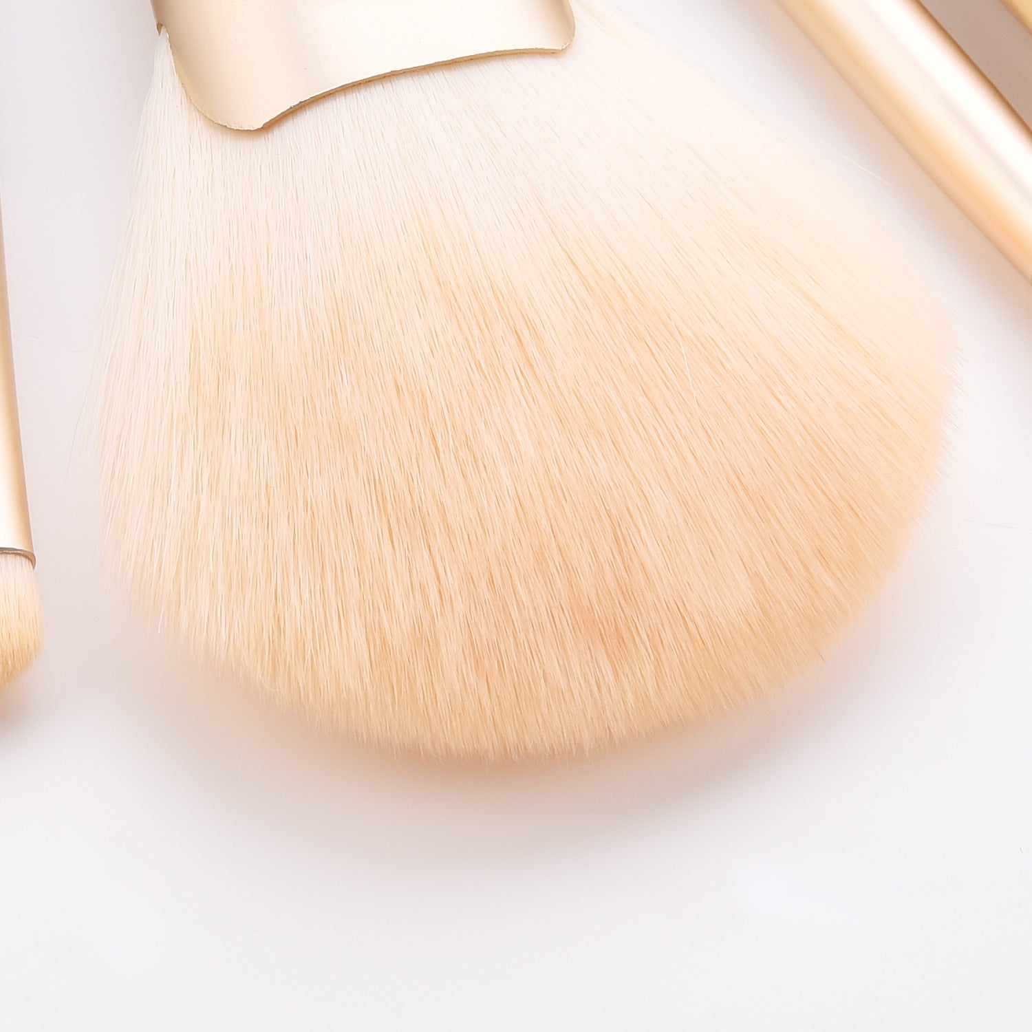 Makeup Brush Set | Professional Makeup Brush Set | Terni Beauty